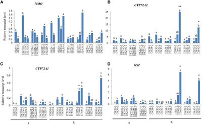 Diversified Resistance Mechanisms in Multi-Resistant Lolium spp. in Three European Countries